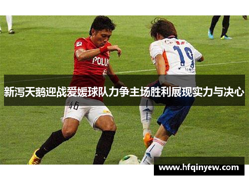 新泻天鹅迎战爱媛球队力争主场胜利展现实力与决心